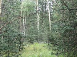 Hidden Lake Lot 27